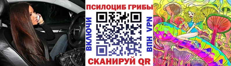 Купить где  Нахабино  Галлюциногенные грибы Magic Shrooms 